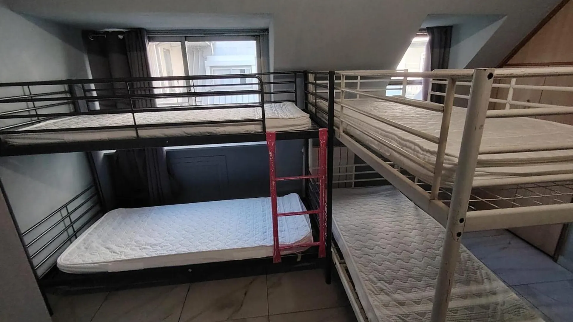 Lion University & Youth Hostel Milano Italy
